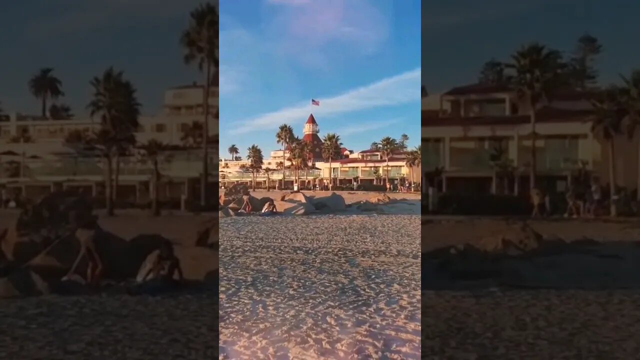 Summer Beach Vibes and Ghosts? 👻🍍#shorts #shortsvideo #beach #summer #ocean #travel #haunted