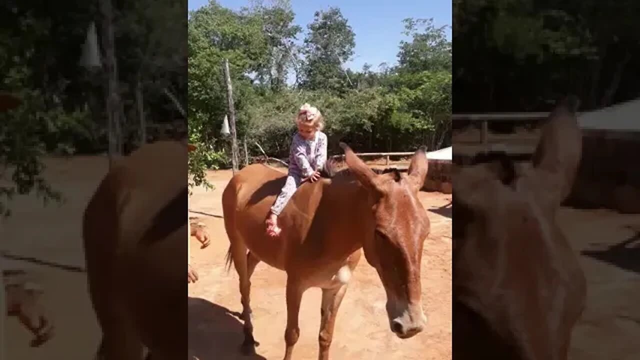 Netinha Andando No Burro