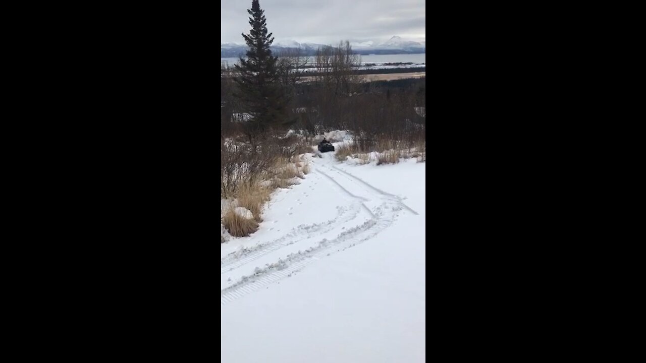 Argo with Tracks Yard Test