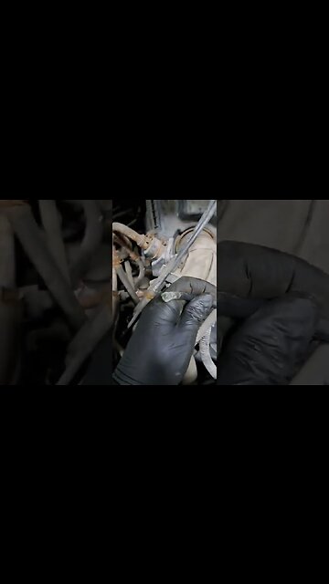 help me out. #shortvideo #car #shorts #entertainment