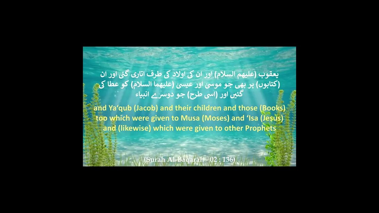 Complete Quran Part # 64 {Surah Al-Baqarah (The Cow) 136} HD #shorts