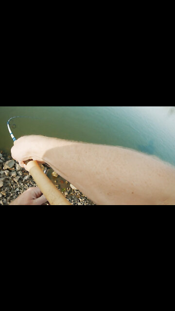 Fishing Z-Man TRD CrawZ