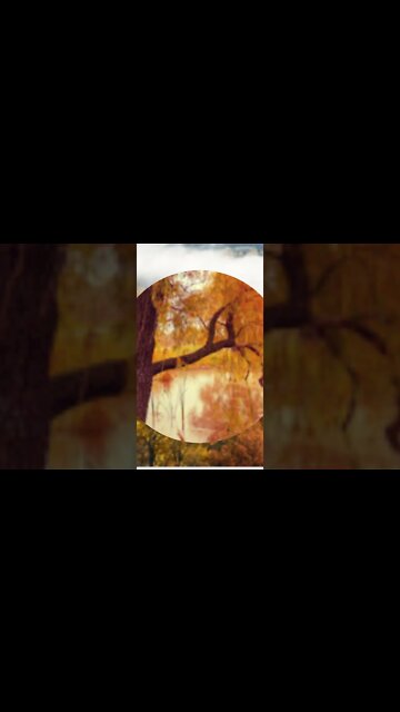 RELAXING AMBIENT MUSIC #shorts