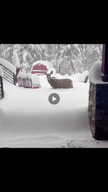 Imagine, you woke up in the morning and saw this view.