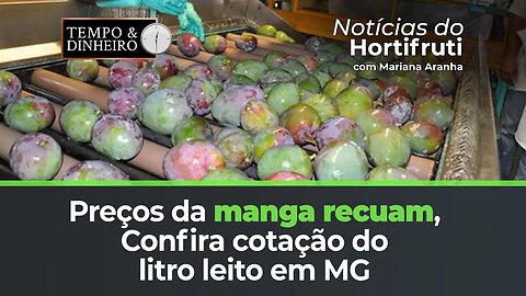 Preços da manga recuam. Confira cotação do litro leito em MG