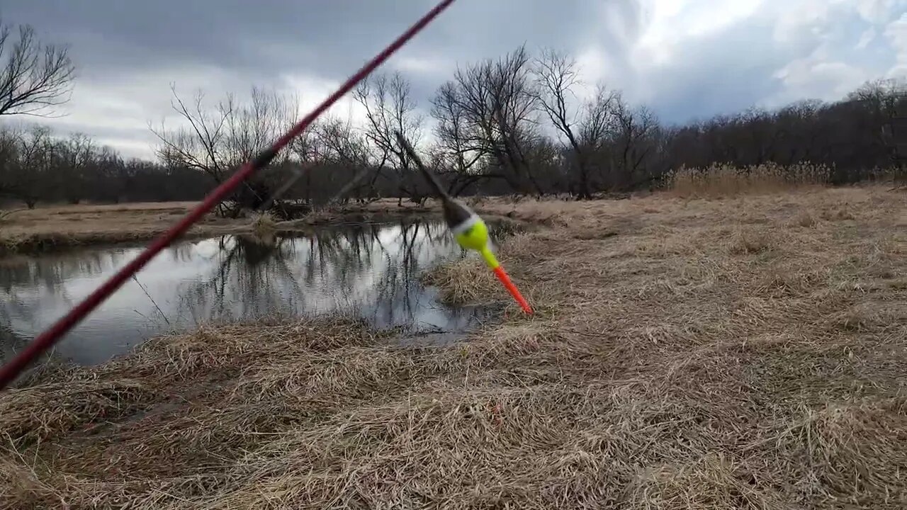 Carls woods with @bassboys part 3, fishing poplar creek.