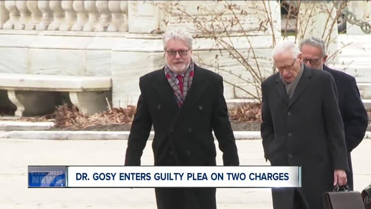 Dr. Gosy pleads guilty to two counts