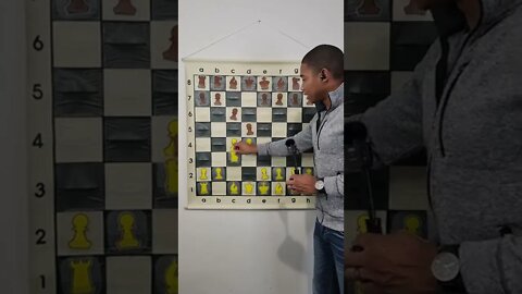 What is the Slav Defense in Chess?