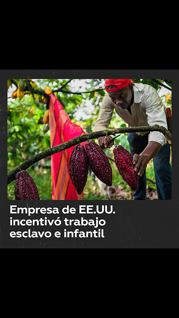 Condenan a corporación estadounidense por incentivar el trabajo forzoso en Brasil