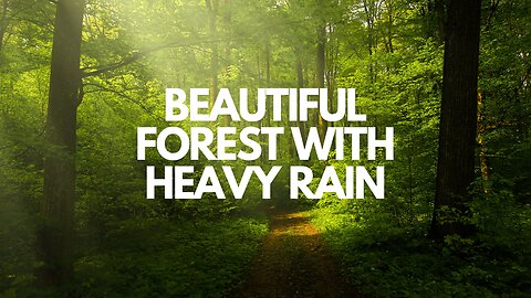 Falling into Deep Sleep Instantly with Forest Beautiful Heavy Rain & Thunder at Night