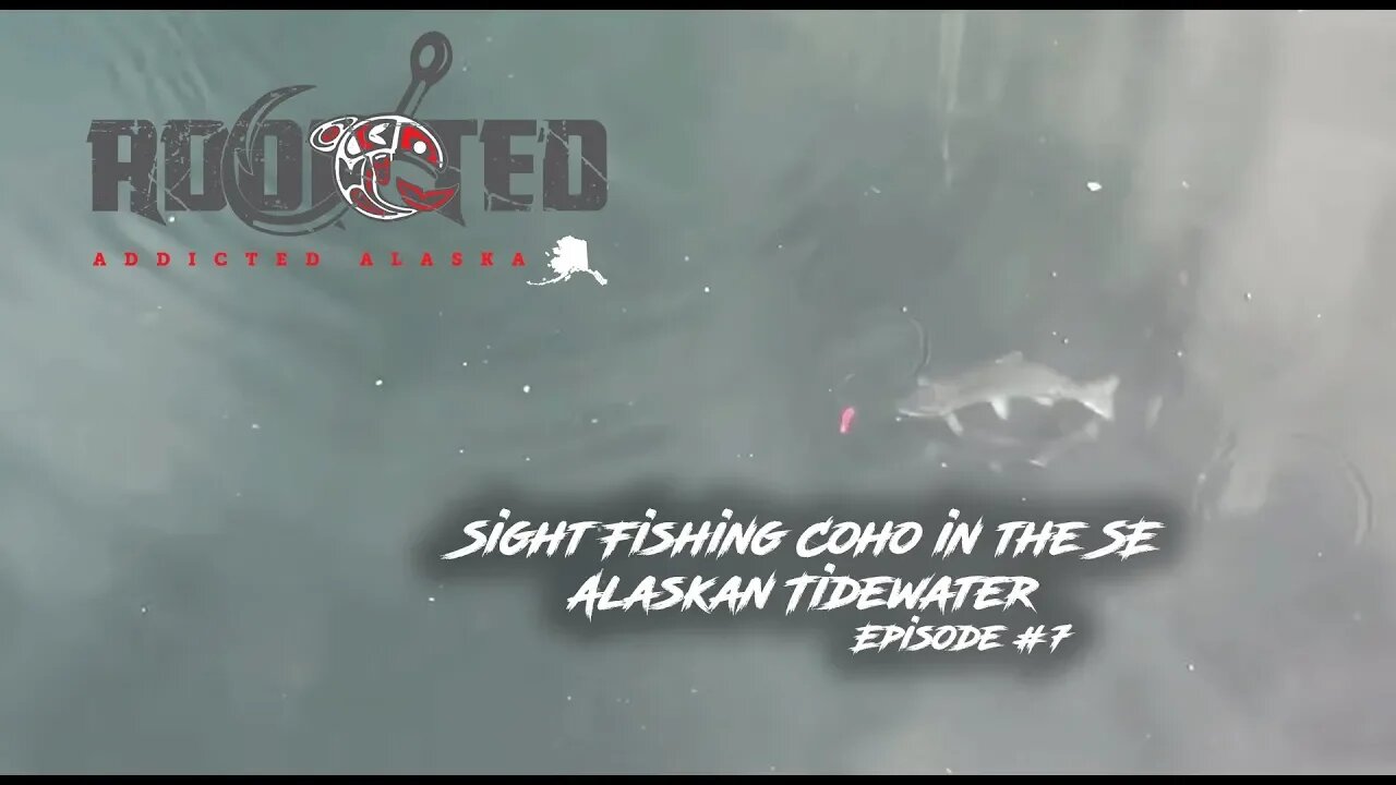 Alaska Salmon Fishing | Sight Fishing Coho in the SE Alaskan Tidewater | Addicted Alaska Ep. #7