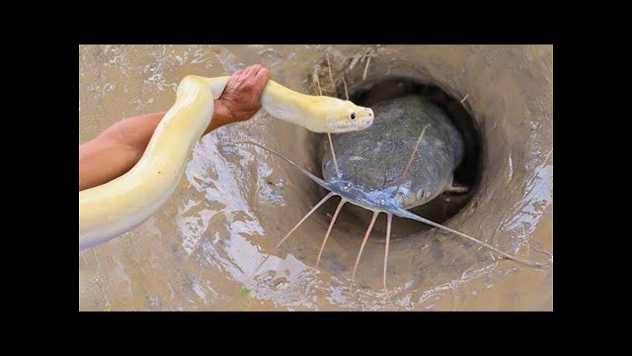 Unbelievable Fishing Technique - Use A Snake To Catch Fish In A Pit Deep In The Ground