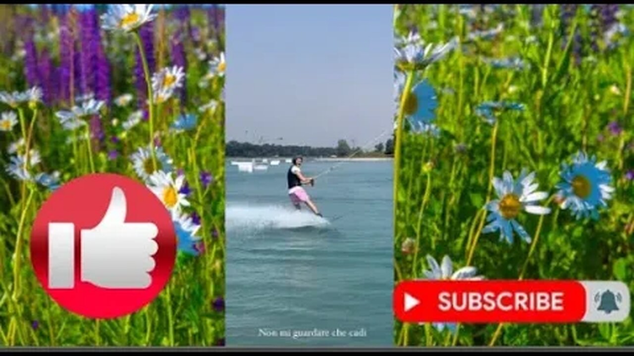 Donnalisi Update 23/24 maggio 2023