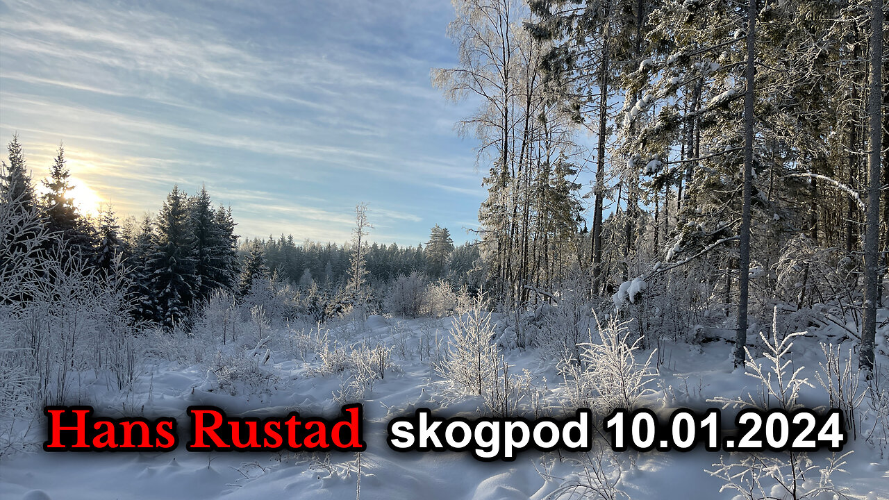 Skogpod 10. januar 2024