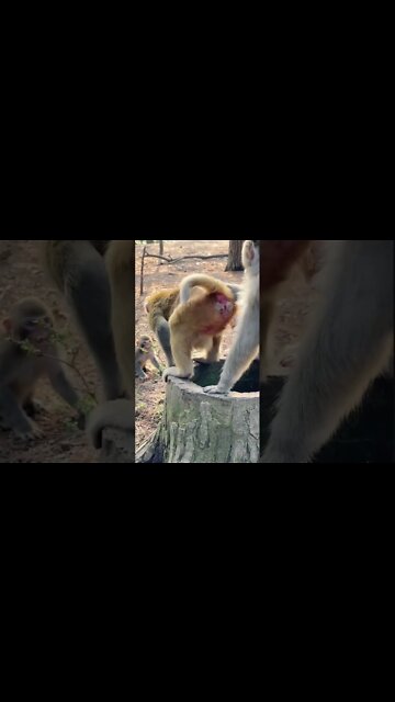 Most Amazing and trending video||relaxing your mind||trendig videos|| #shorts #trending #viral #live