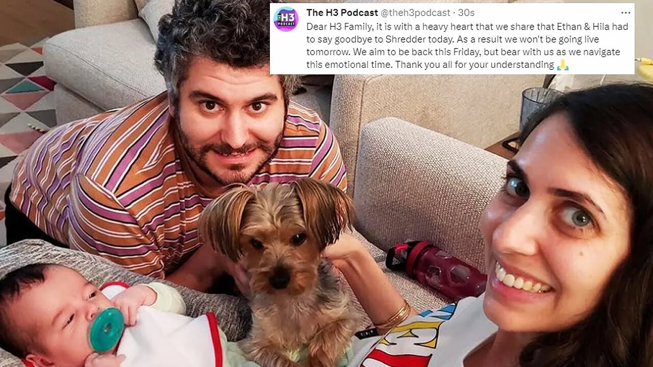 H3H3's dog Shredder passes away from kidney failure