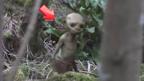 Little Green Men! he looks like Gollum from Lord of the Rings [Conspiracy]