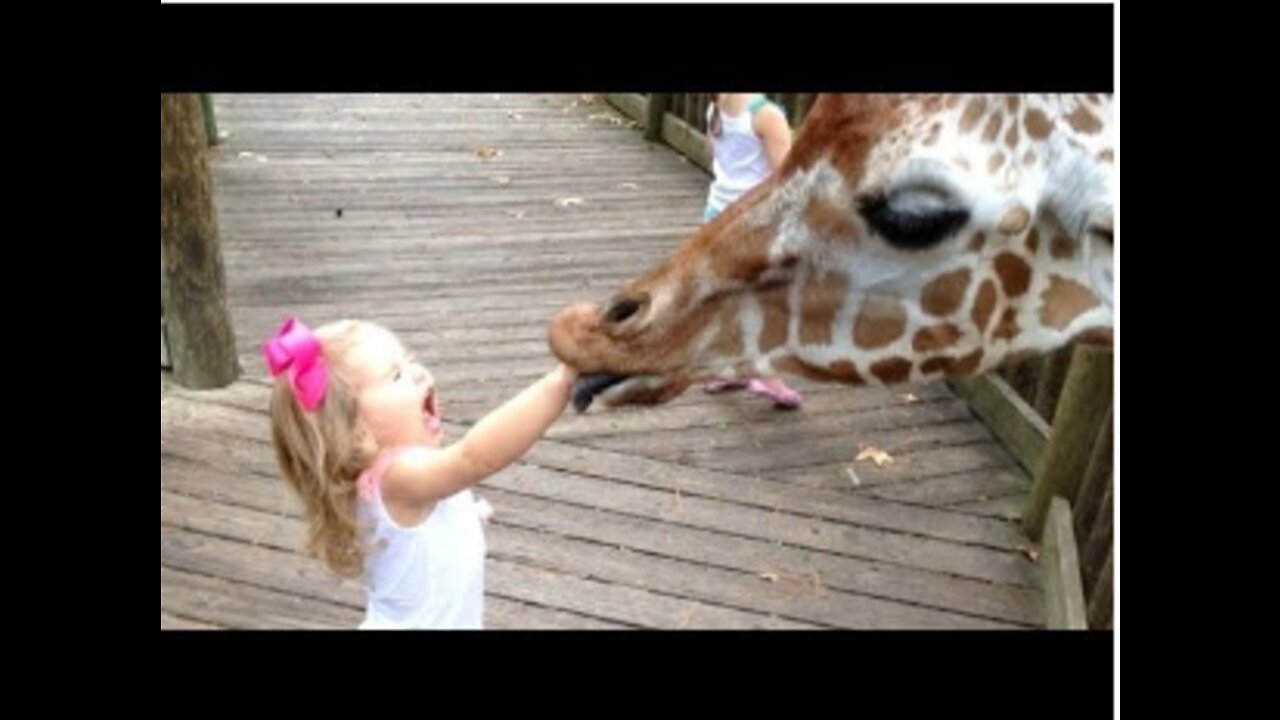 FORGET CATS Funny KIDS vs ZOO ANIMALS are WAY FUNNIER TRY NOT TO LAUGH