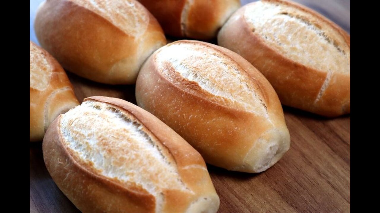 PÃO NO MICROSCÓPIO/ BREAD IN THE MICROSCOPE