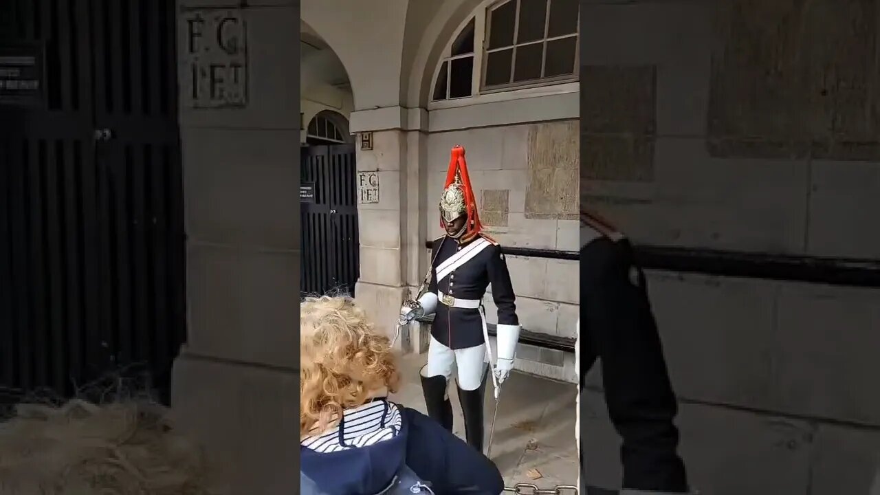 You can't stand there #horseguardsparade