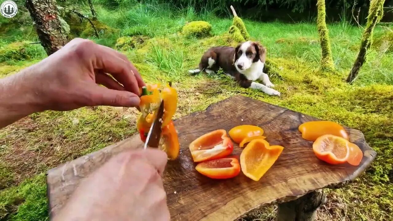 CAMPING after Storm, cooking meatloaf in Forest