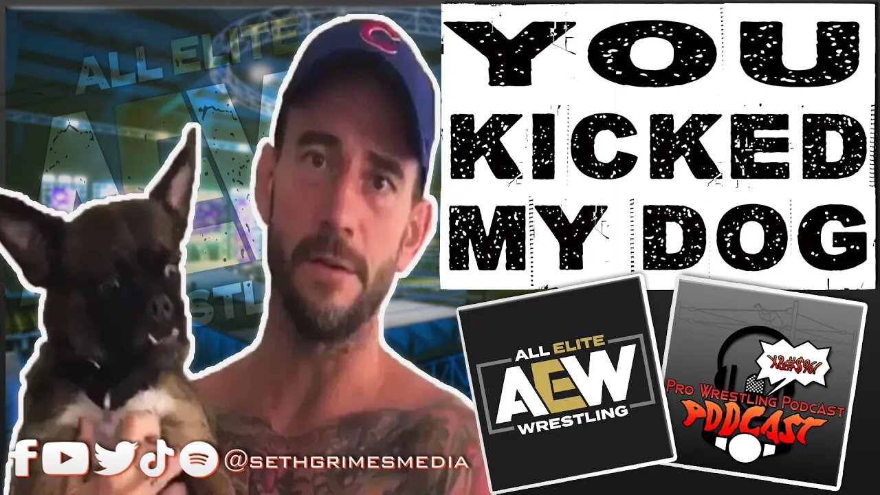 CM Punk's Dog Larry Injured in Brawl Out? | Clip from Pro Wrestling Podcast Podcast #aew #cmpunk