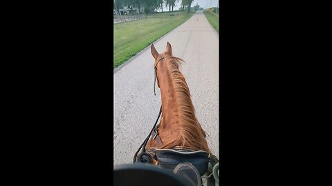 Cajun Horseman on Autopilot 🐎😁