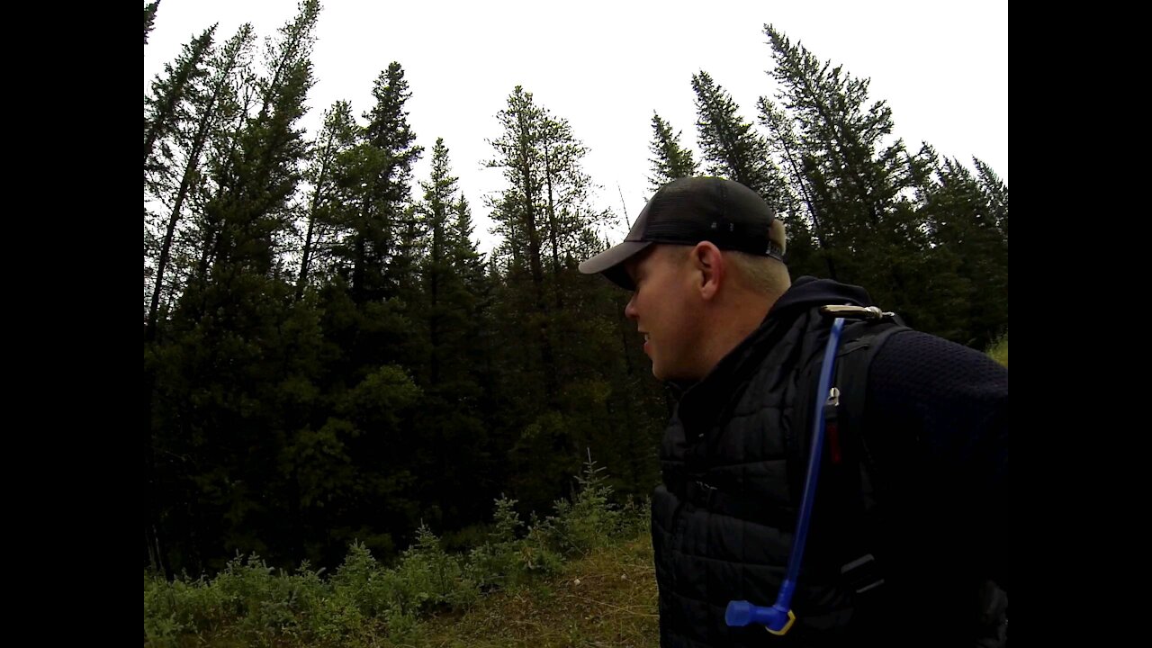 Banff Canada Hiking Elk Bugle