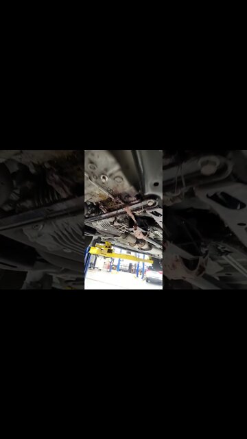 Reconsider the Automotive technician career