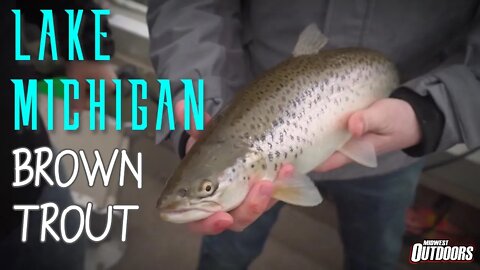 Spring Lake Michigan Brown Trout Fishing