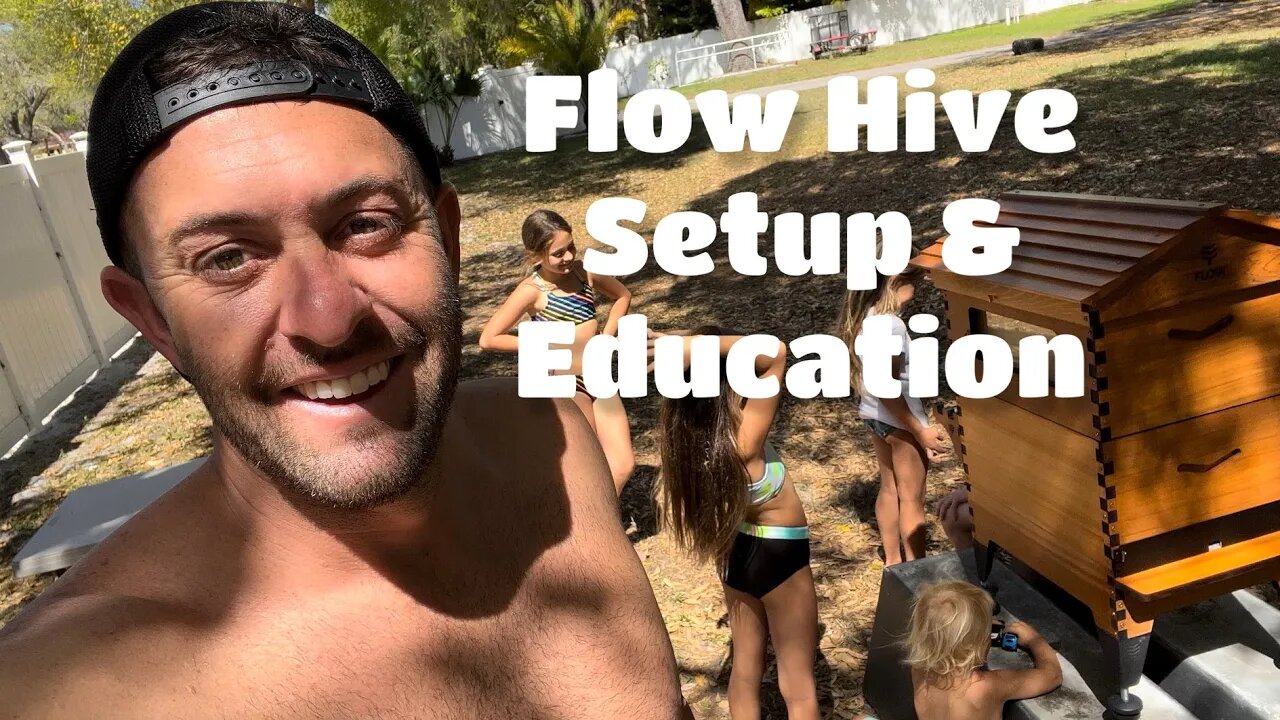 Thinking about getting a Flow Hive? Watch This First! 🐝❤️