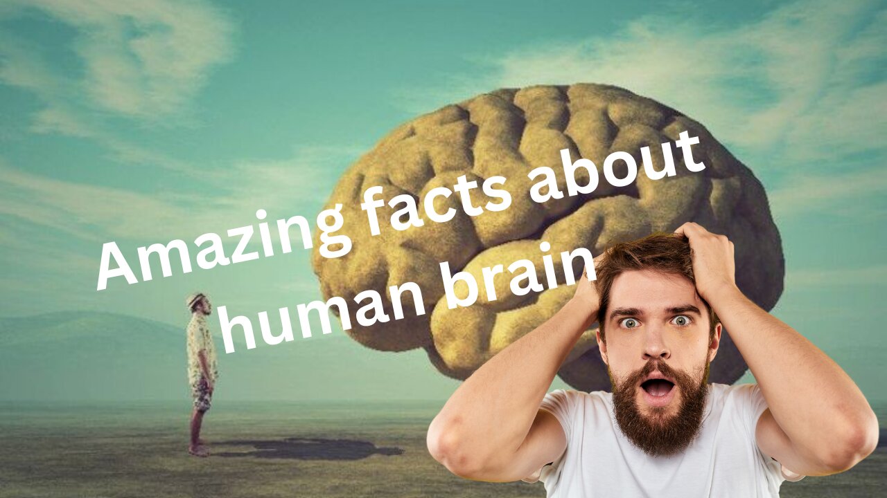 Amazing Facts about Human Brain