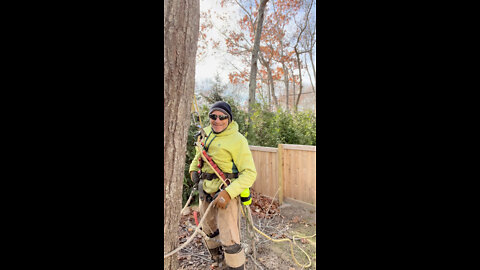 12/3/2021 Robbie Gallo of Gallo Tree Service Southampton, NY