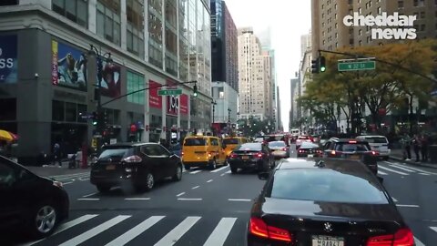 Why New York Has So Many Rats - NYC Revealed