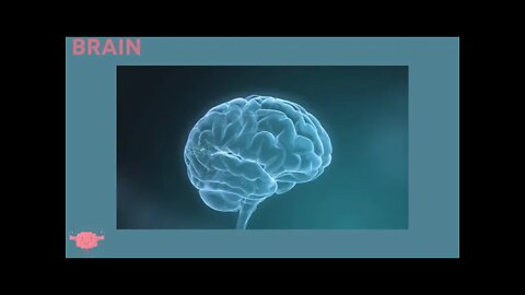 A look at how different parts of the brain are activated when listening to Brainstrong hiphop