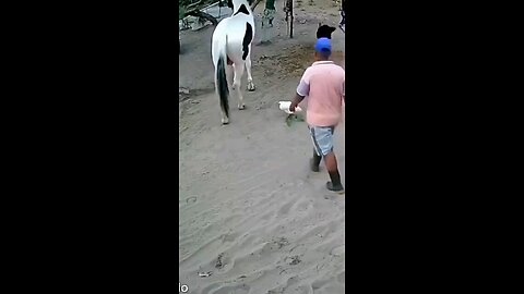 funny