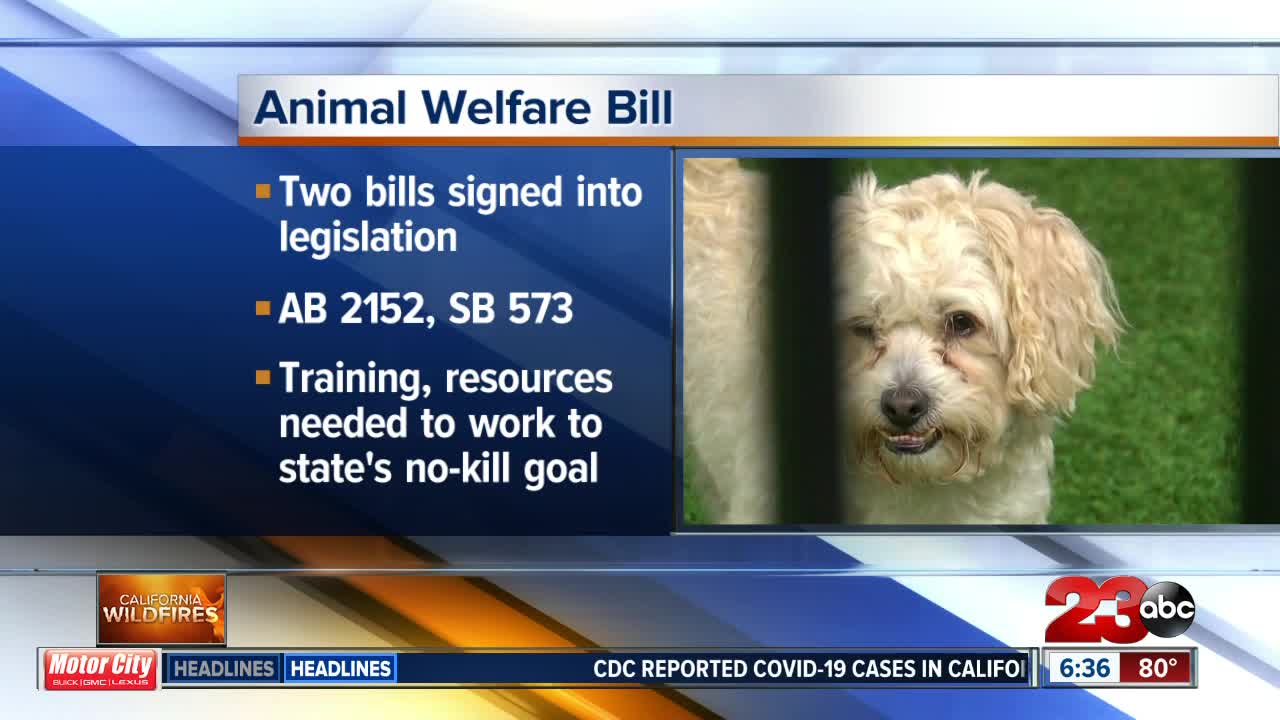 Newsom signs legislation requiring animals be microchipped prior to adoption