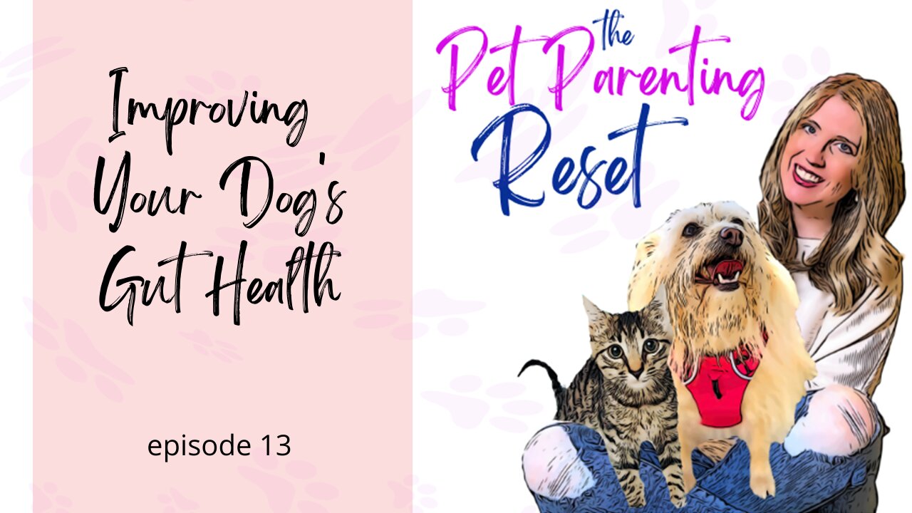 5 Tips For Improving Your Dogs Gut Health | The Pet Parenting Reset, episode 13