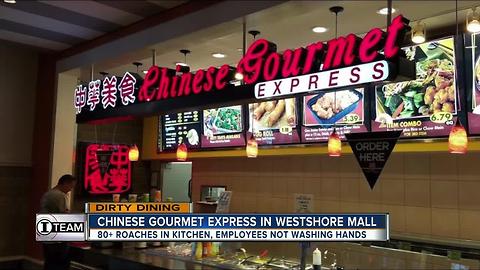 Dirty Dining: 2 eateries inside Westshore Plaza food court shut down for 80+ roaches in the kitchen