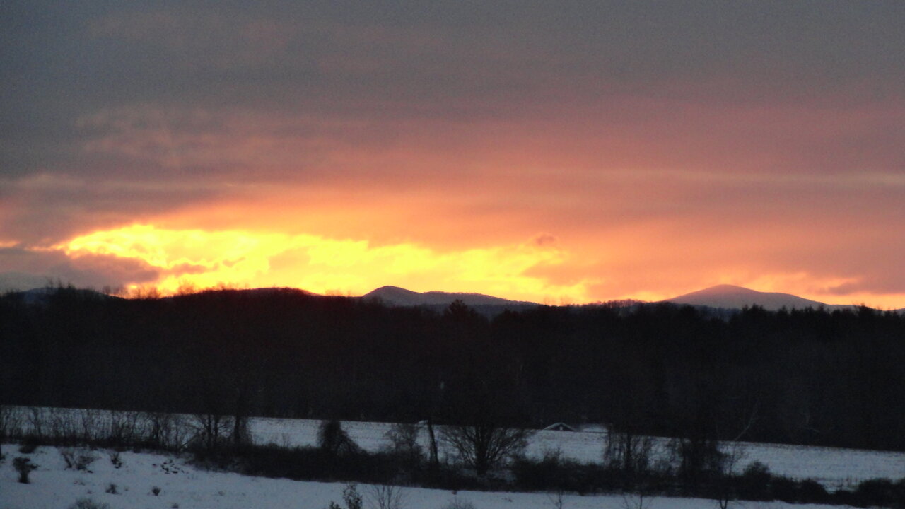 40 Three Political Parties