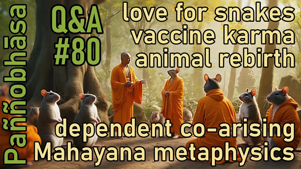 Question & Answer #80: from Losing the Desire for Rebirth to the Danger of White Lies