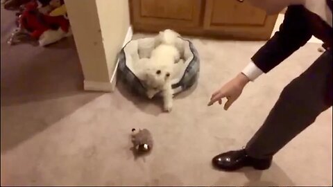 QUINCY GOT POSSESSIVE!