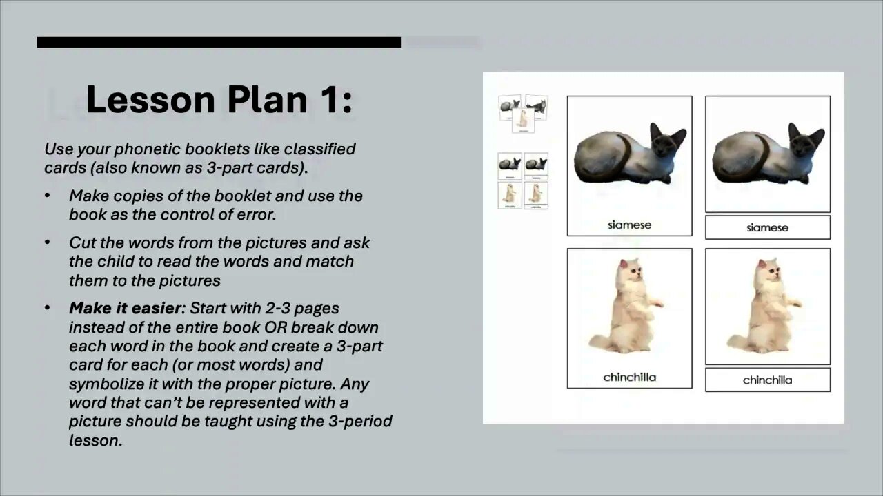 Lesson Plans to Extend The Life of Your Phonetic/Bob Books