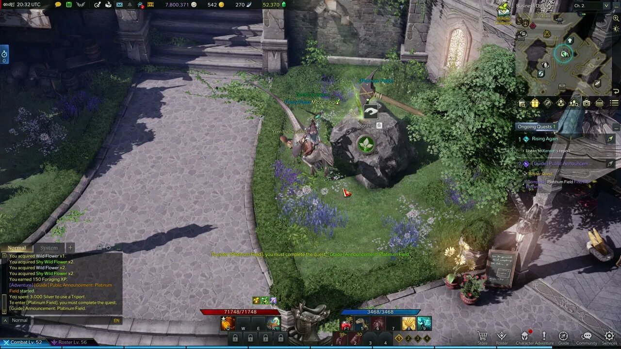 Lost Ark MMORPG Public Announcement Platinum Field