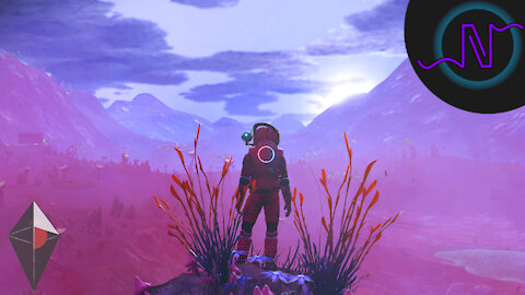 STARTING THE NEW CARTOGRAPHERS EXPEDITION! - No Man's Sky Frontiers - Cartographers Expedition E01