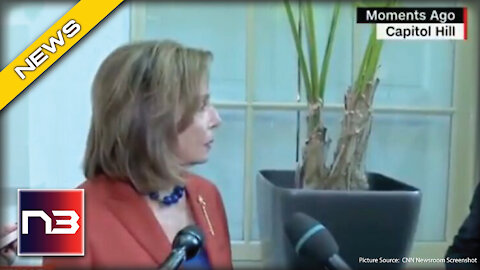 Pelosi Just Threw a Tantrum When Reporter Asked Her Very Simple Question