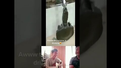 Chalange Tahan Ketawa 138 #shorts