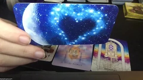 Oracle Reading For the Collective New Moon Solar Eclipse in Scorpio