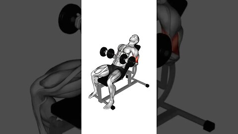 Biceps day