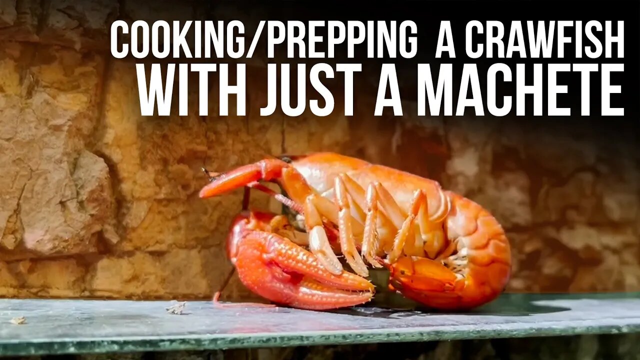 Scavenging Food | Machete Survival Series | ON Three
